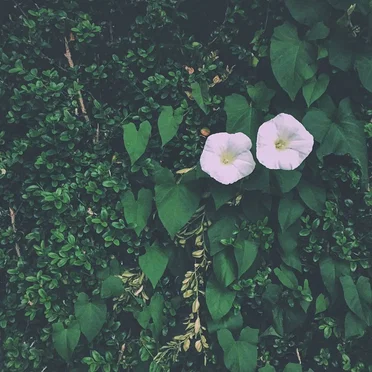 Summertime and the Living’s Easier.