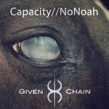 Capacity//NoNoah
