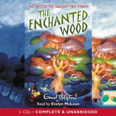 The Enchanted Wood by Enid Blyton - album cover