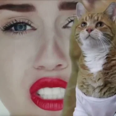 Keyboard Cat Wrecking