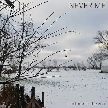 Never Me