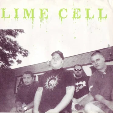 We Need a Raise by Limecell - album cover