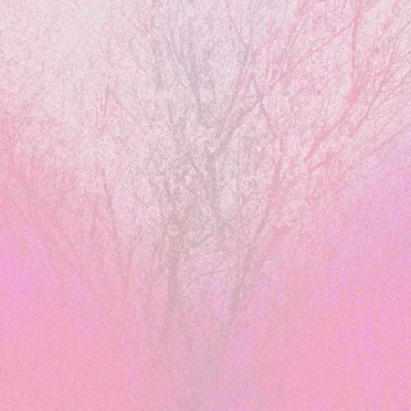 Hikari by Megumi - album cover