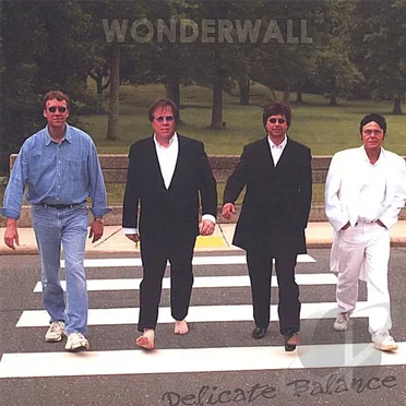 Delicate Balance by Wonderwall - album cover