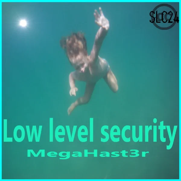 Low Level Security