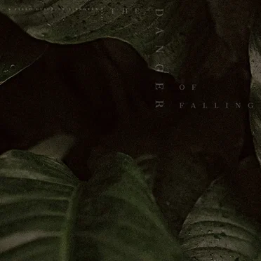 A Field Guide To A Broken Heart by The Danger Of Falling - album cover