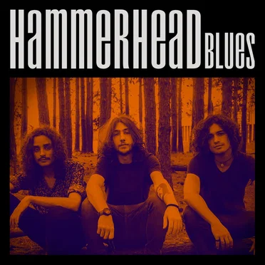 Hammerhead Blues by Hammerhead Blues - album cover