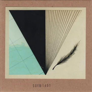 Ruis by Sonmi451 - album cover