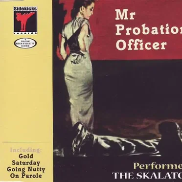 Mr Probation Officer