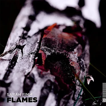 Flames by Sarah Fimm - album cover