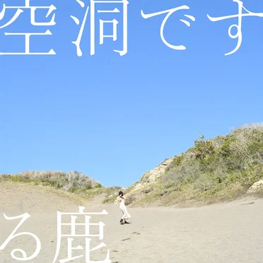 空洞です