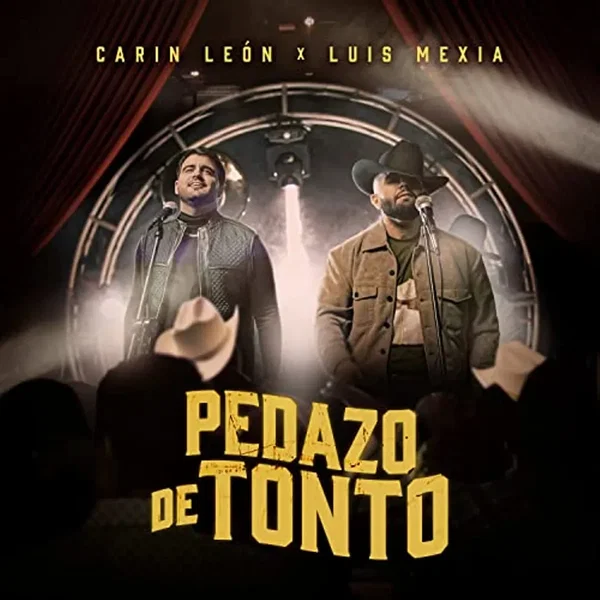 Pedazo de tonto