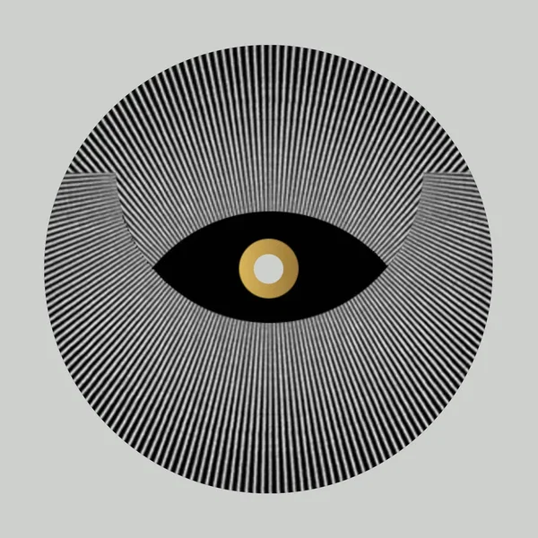 Transition LP