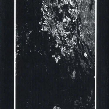 Feral Earth
