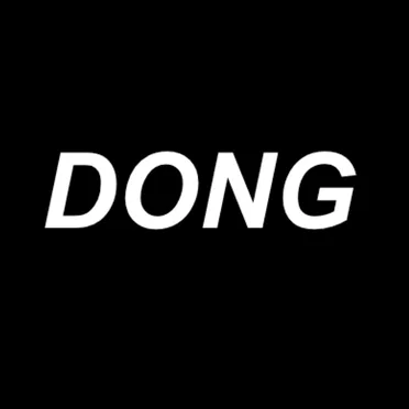 dong by VHS SLUT 1997 ✧*:･ﾟ - album cover