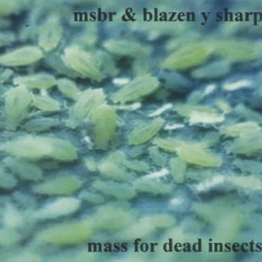 Mass for Dead Insects