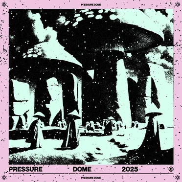 Flies In The Kitchen