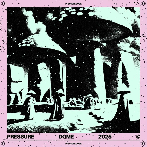 Flies In The Kitchen