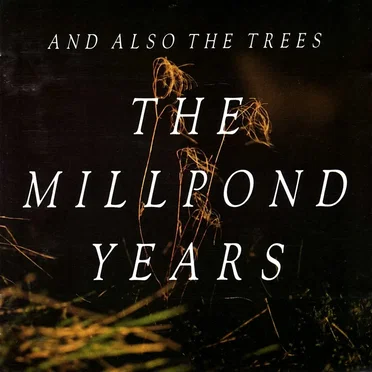 The Millpond Years