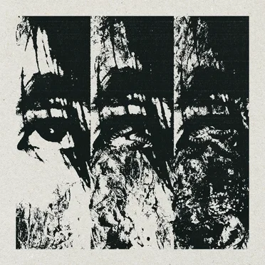 Left to Rot by Wormrot - album cover