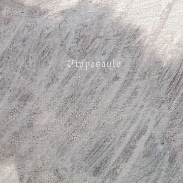 Viņpasaule