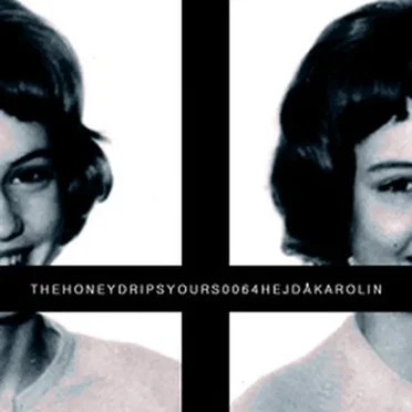Hej Då Karolin by The Honeydrips - album cover