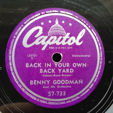 Back in Your Own Back Yard / Chicago