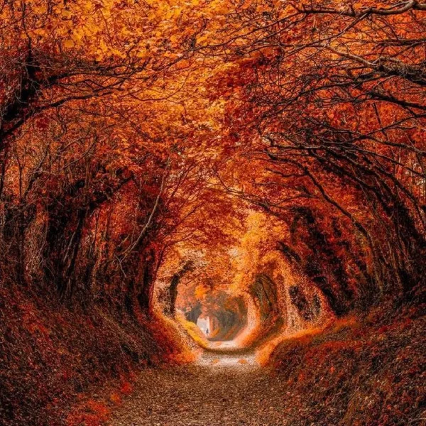 Early October