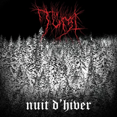 Nuit d'hiver by Türst - album cover