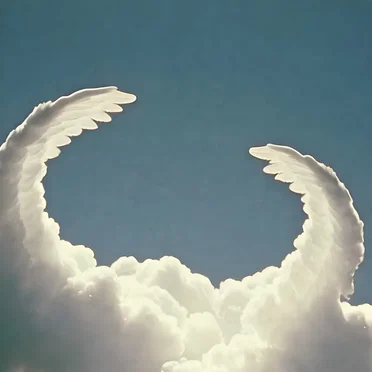 thő̸̞̗̜̰͈̟̀͒͑͂ų̵̳̪̭͉͎̀͛͆̈́͑͛̋̀ght i could fly.. by olé - album cover