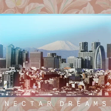 N E C T A R D R E A M S by My Sister’s Fugazi Shirt - album cover