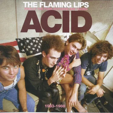 Finally the Punk Rockers Are Taking Acid: 1983-1988