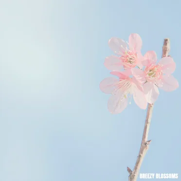 Breezy Blossoms by Antero Lehto - album cover