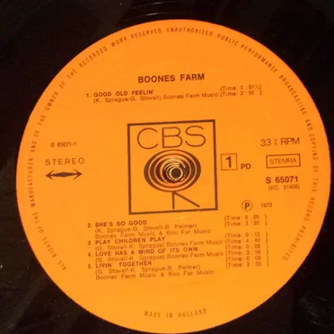 Boones Farm by Boones Farm - album cover