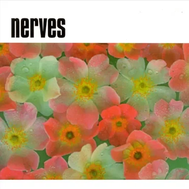 Nerves by Nerves - album cover
