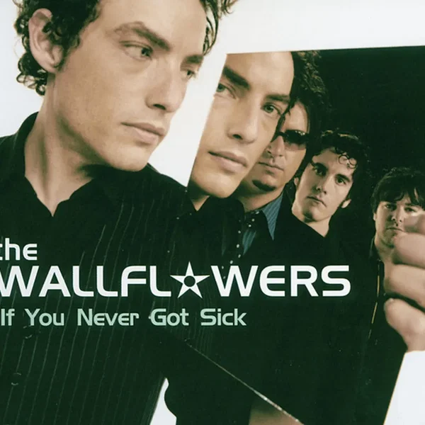 If You Never Got Sick
