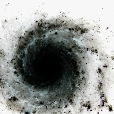 Into a Black Hole Spiral