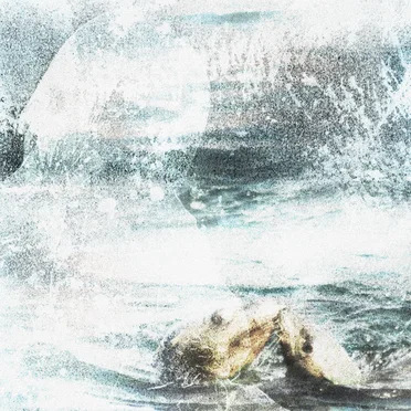 what i feel for you can’t be put into words