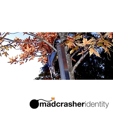 Identity by Madcrasher - album cover