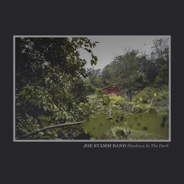 Shadows in the Dark by Joe Stamm Band - album cover