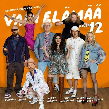 Vain elämää: Kausi 12, ensimmäinen kattaus by Various Artists - album cover
