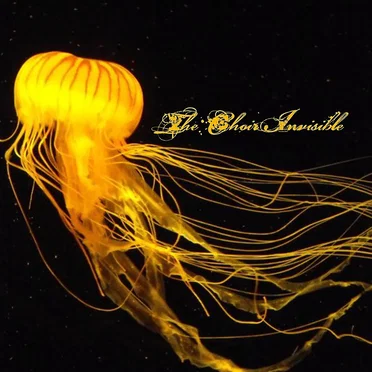 Amaranthus EP by The Choir Invisible - album cover
