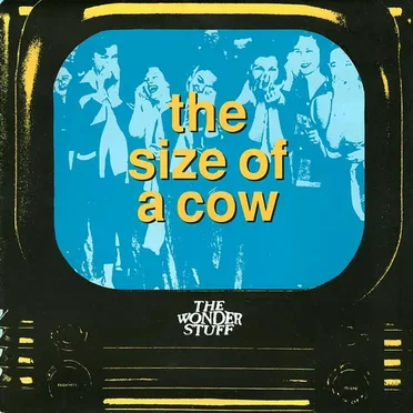 The Size of a Cow
