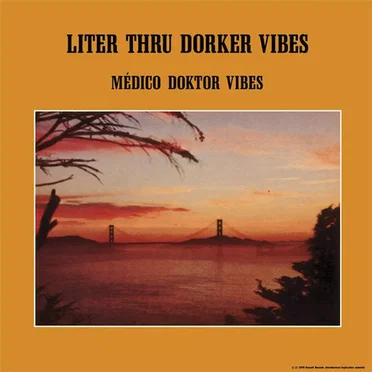 Liter Thru Dorker Vibes by Médico Doktor Vibes - album cover