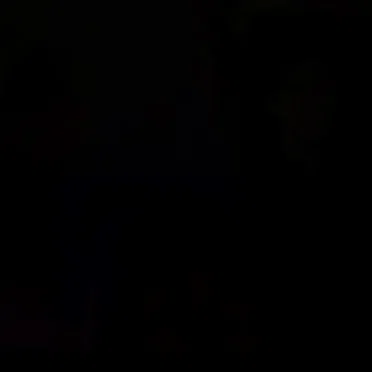 Poésie d'une certaine face du monde