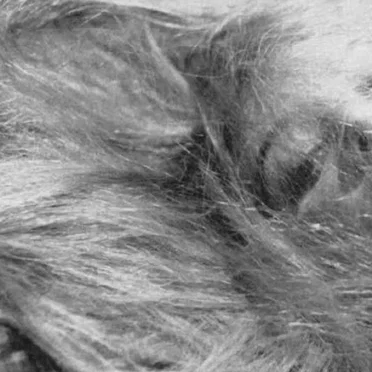 On The Heaviness of Being