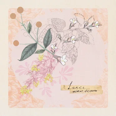 Lance by Niños del Cerro - album cover