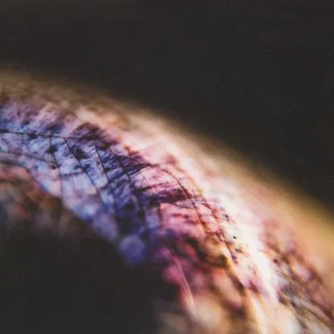 Skin by Emptyset - album cover