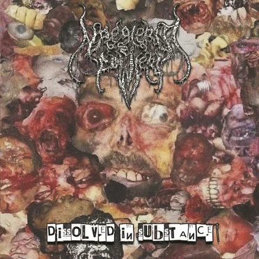 Dissolved in Substance by Naegleria Fowleri - album cover