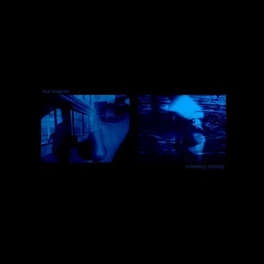Screaming, Shouting by Blue Imagined - album cover